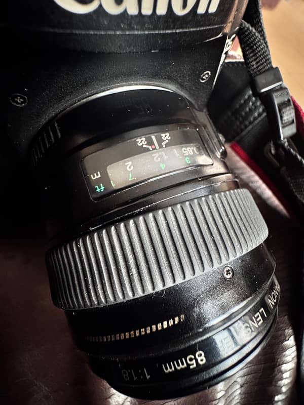 Canon 5d mark iii with 24 105 F4 and 85mm 1.8 8