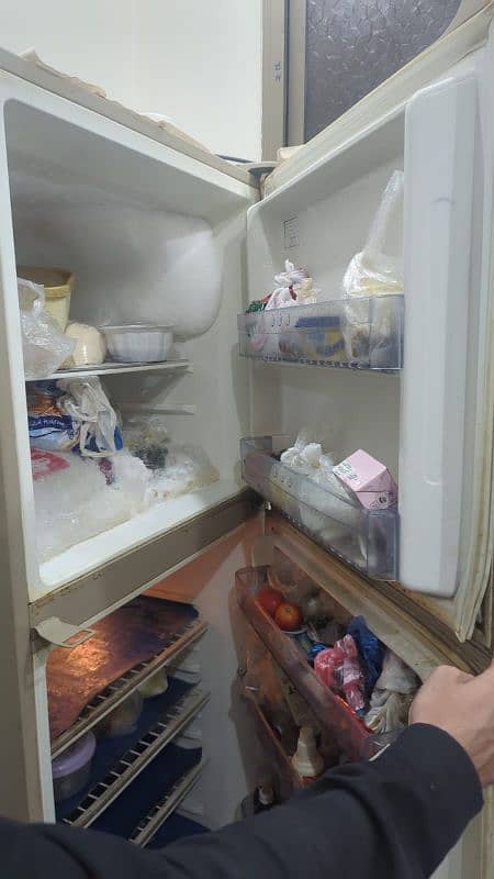 Haier refrigerator 3