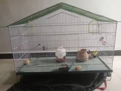 large size cage available