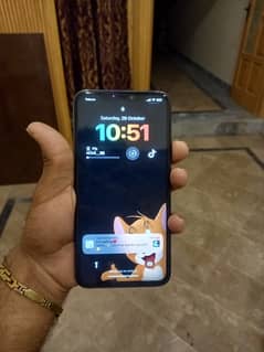 11pro max 256 gb non pta factor unlock