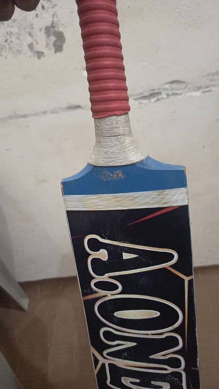 cricket Bat 1