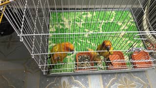 SUNCONURE