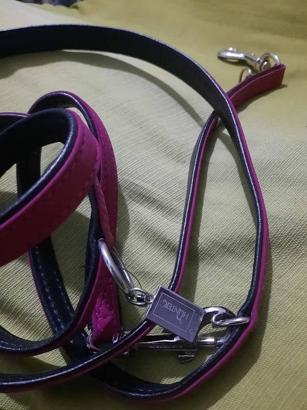 Dog Harness- Leash Other items - European imported stock 2