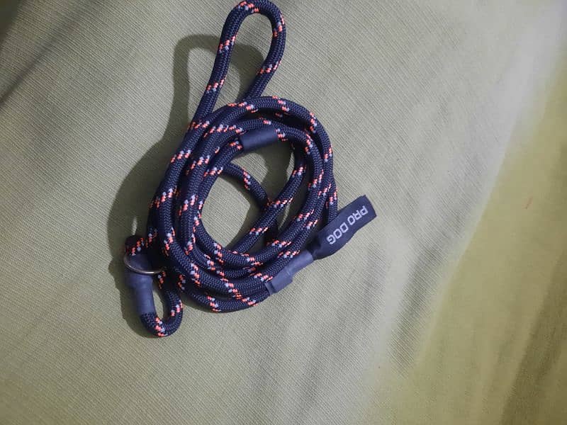 Dog Harness- Leash Other items - European imported stock 4