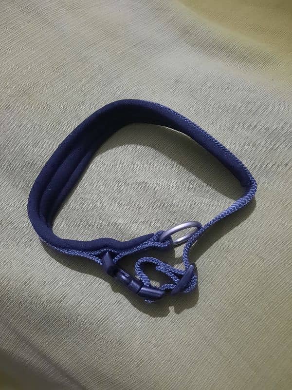 Dog Harness- Leash Other items - European imported stock 5