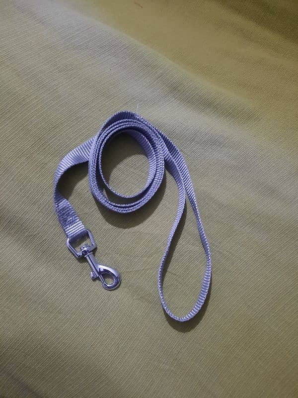 Dog Harness- Leash Other items - European imported stock 6