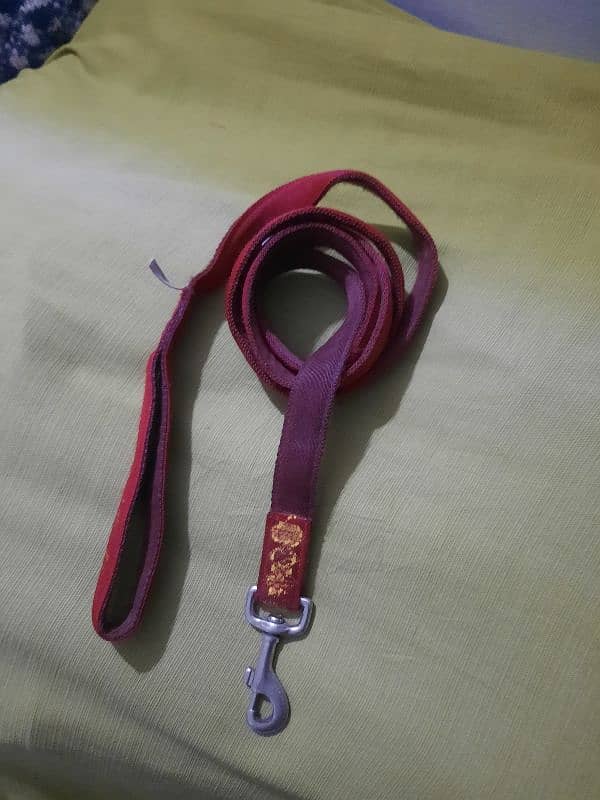 Dog Harness- Leash Other items - European imported stock 8