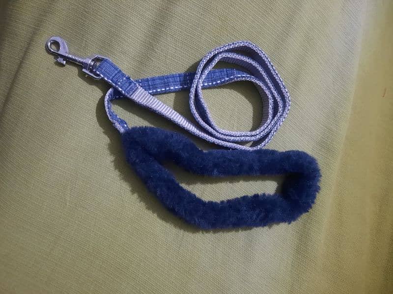 Dog Harness- Leash Other items - European imported stock 10