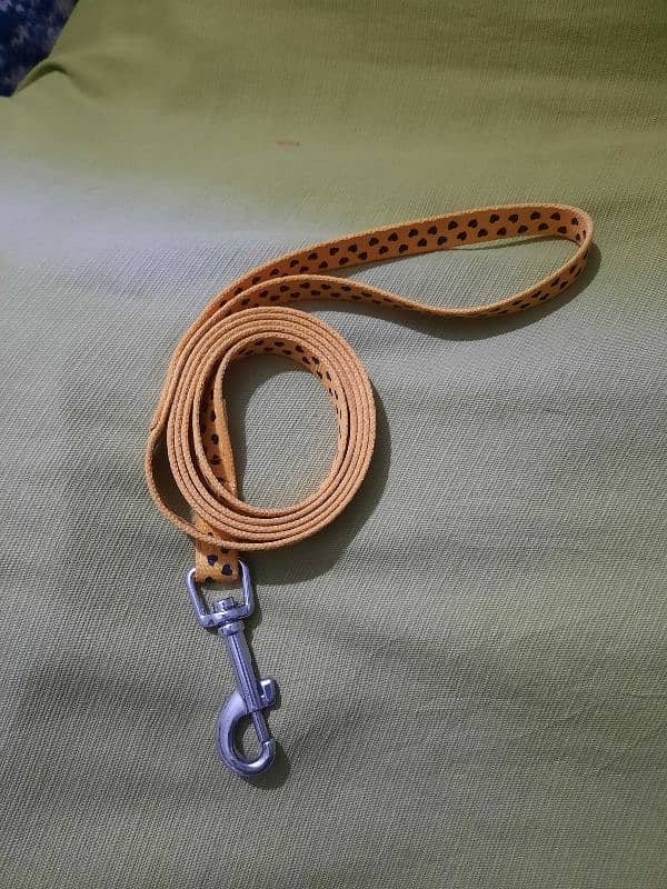 Dog Harness- Leash Other items - European imported stock 11