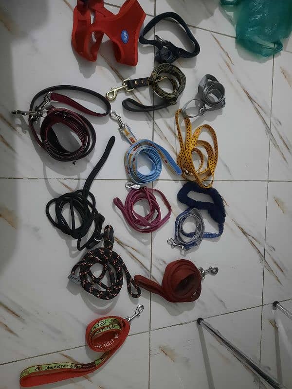 Dog Harness- Leash Other items - European imported stock 15