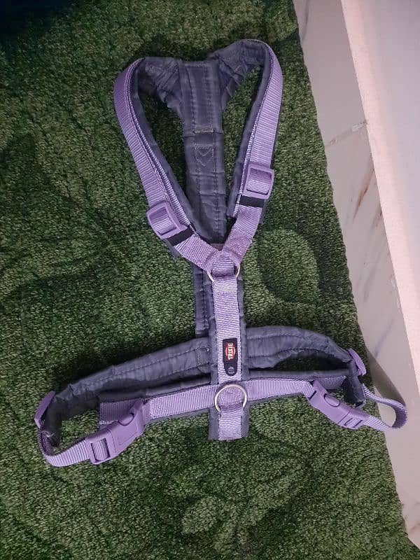 Dog Harness- Leash Other items - European imported stock 16