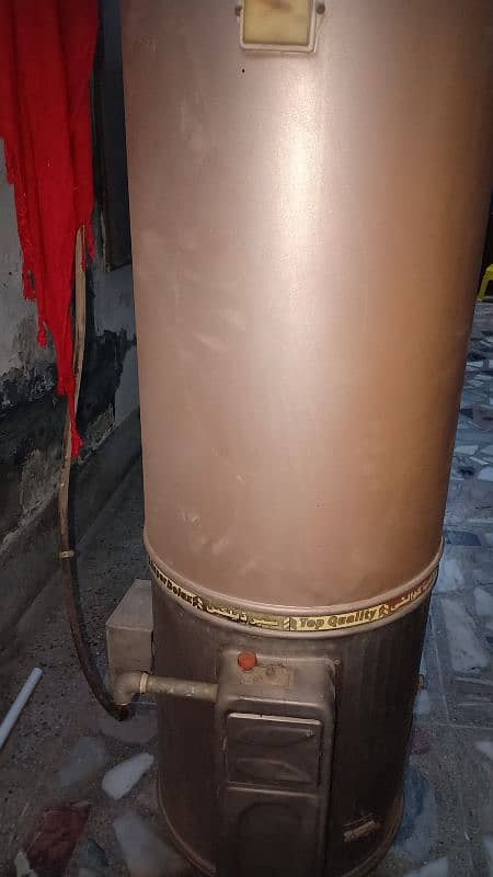 35 Gallan electric and gas geyser 1