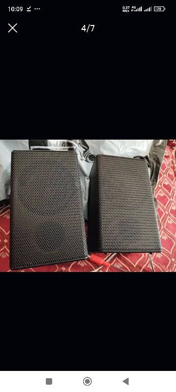 Bass Speaker 4