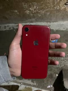 iPhone XR  jv 64 gb