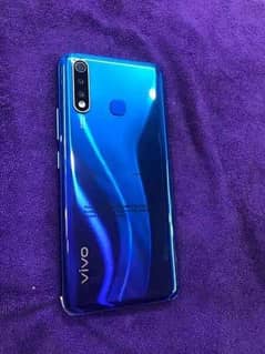 VIVO