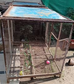 I am selling bird cage reasonable price