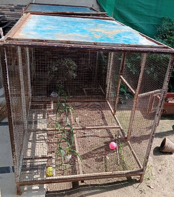 I am selling bird cage reasonable price 0