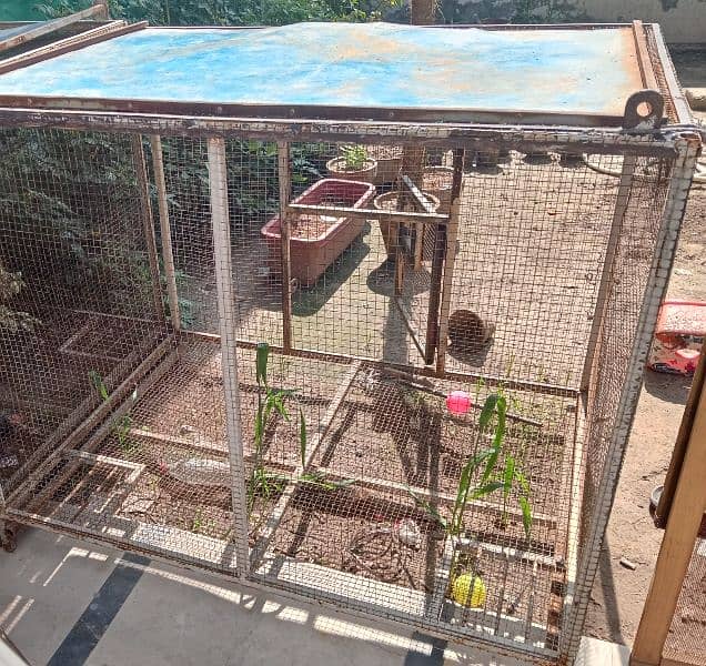 I am selling bird cage reasonable price 1