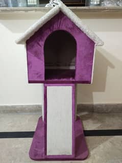 cat house