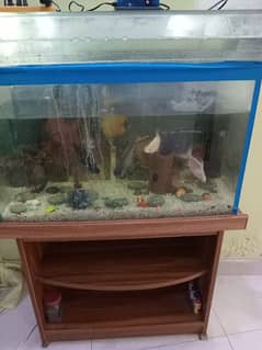 fish aquarium for urgent sale