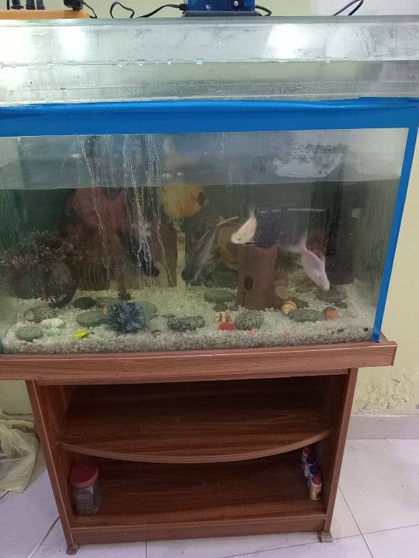 fish aquarium for urgent sale 0