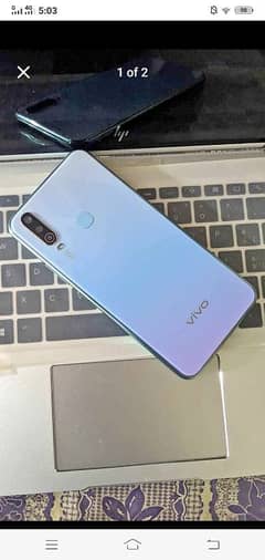 vivo