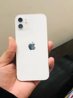 iphone 12 128gb pta approved