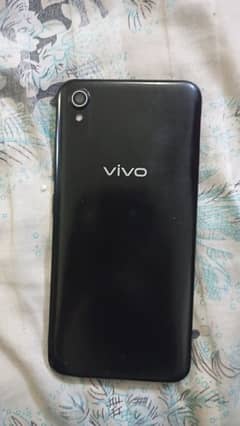 VIVO