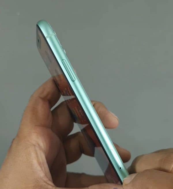 iPhone 11 Sea Green Colour 3