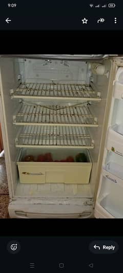 PEL refrigerateR