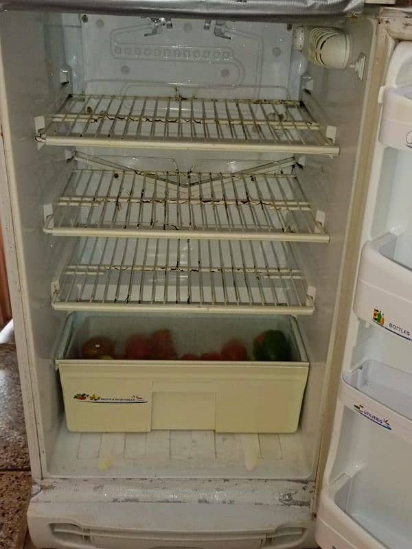 PEL refrigerateR 6