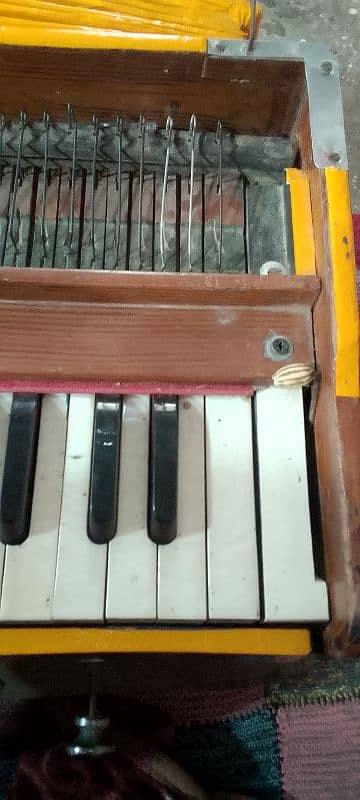 harmonium Germany 1