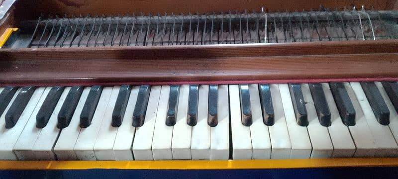 harmonium Germany 7