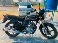 Yamaha YB125z DX 2024