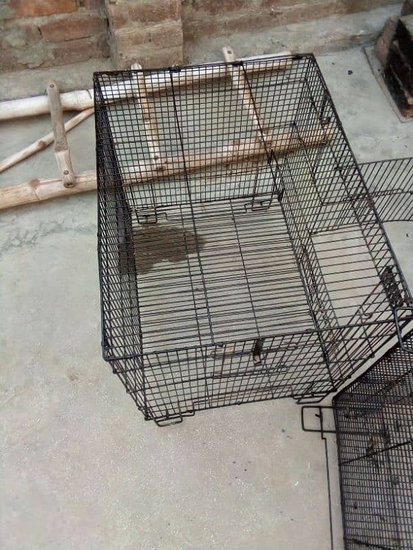 folding cage 1