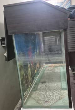 Aquarium Urgent Sale