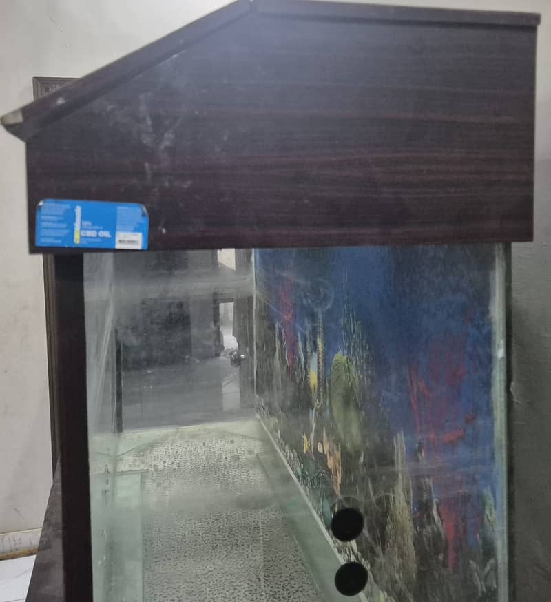 Aquarium Urgent Sale 2