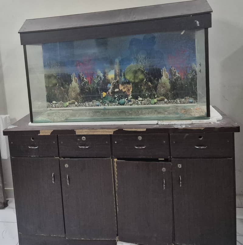 Aquarium Urgent Sale 3