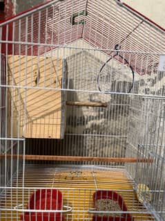 Cage for sale With Box