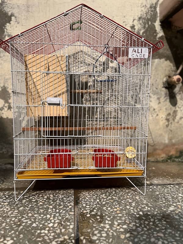 Cage for sale With Box 1