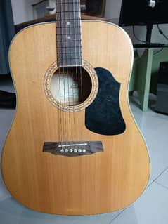 acoustic guitar