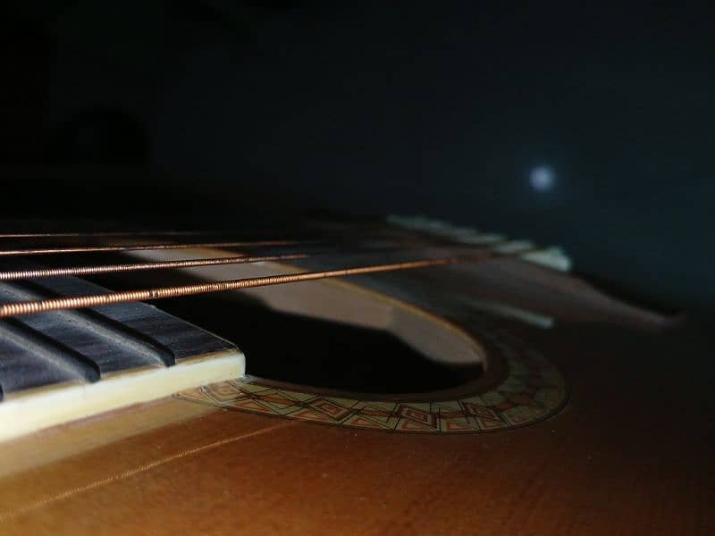 acoustic guitar 7