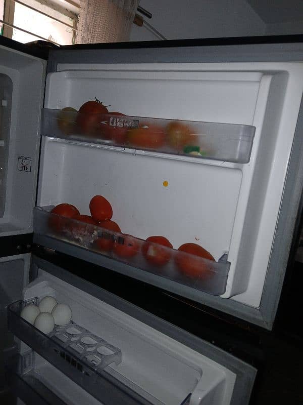 fridge 2