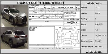 Lexus UX300e 2021 L