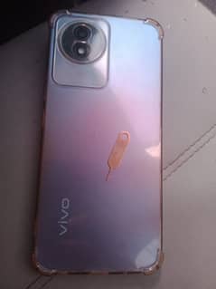 vivo