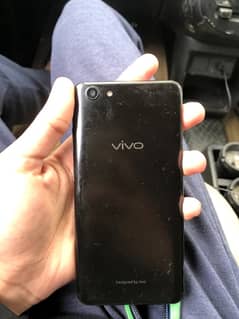 vivo