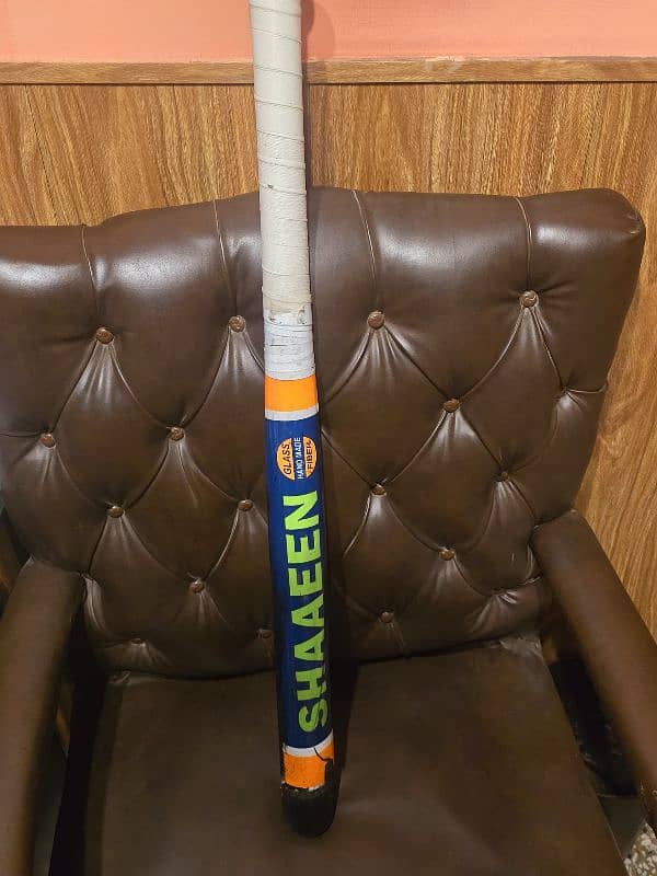 Baseball bat for Street Fights 1