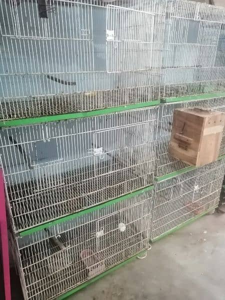 2 cages 3 portion 2 cages 8 portion 3