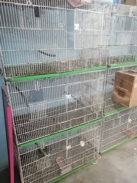 2 cages 3 portion 2 cages 8 portion 4