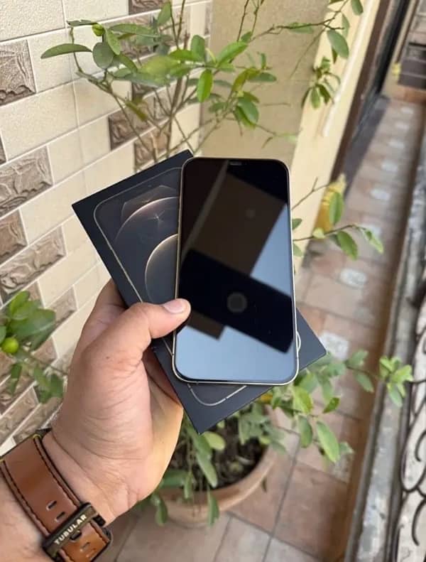 iPhone 12 Pro Max 256GB physically dual PTA approved 3